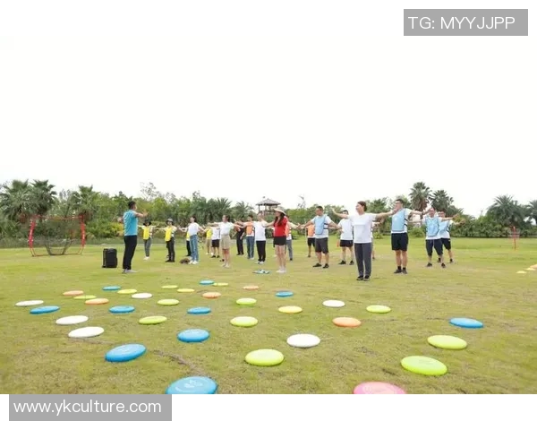 飞盘盛宴：深入南京飞盘队的团队协作与激情碰撞
